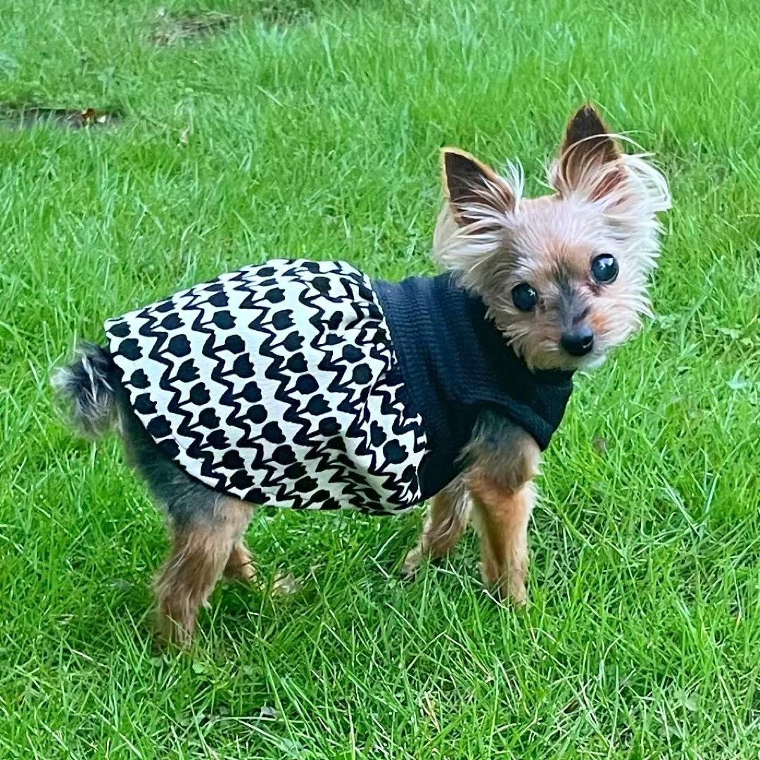 ハンドメイド犬服　切替えワンピ　ハイウエスト　コーデュロイスカート★お袖変更可能