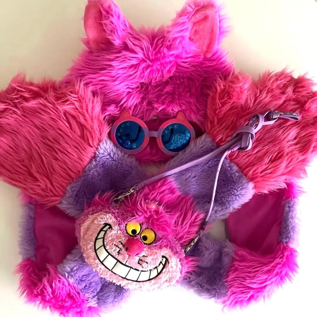 ディズニー　チシャ猫　フード付きマフラー　パスケース　サングラス　セット