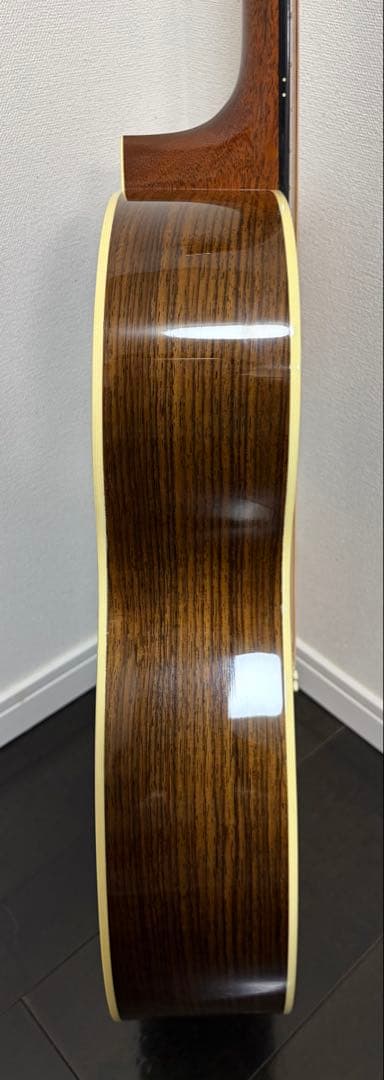 ギター Martin OMJM john mayer lrbaggs HIFH Duet