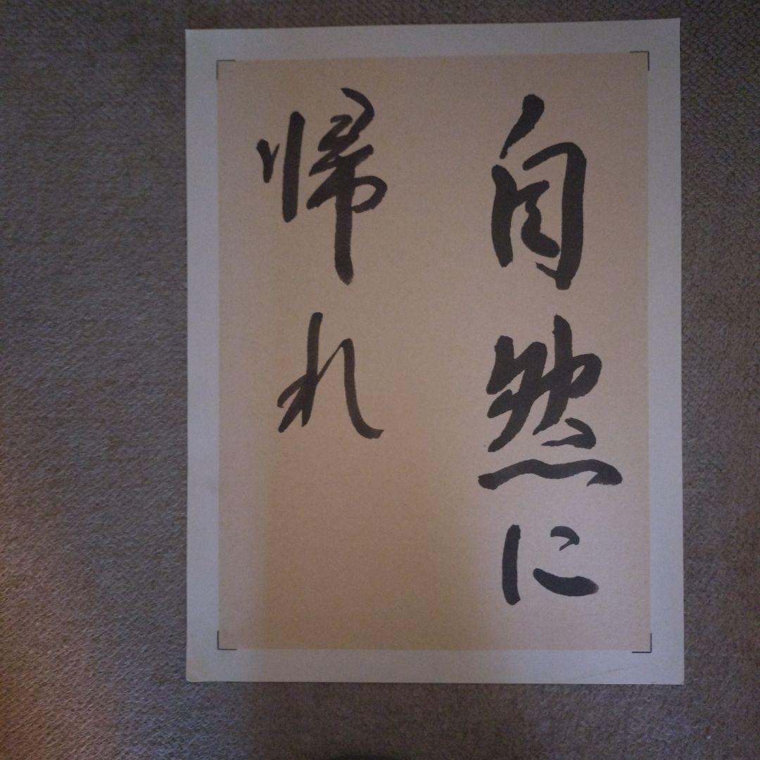 臨書　色紙　自然に帰れ　表装済み