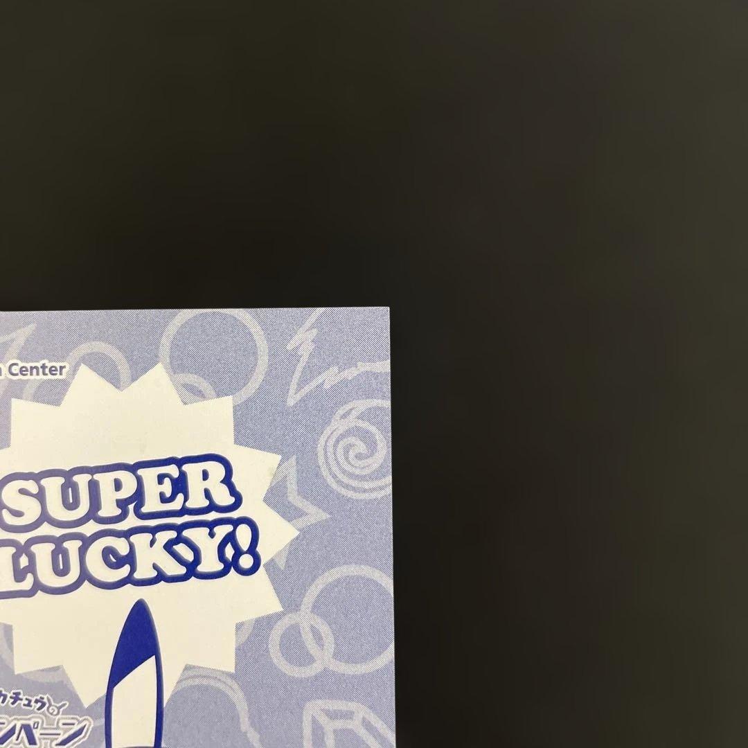 ポンチョを着たピカチュウ　名刺カード　メガレックウザ　カードファイルセット