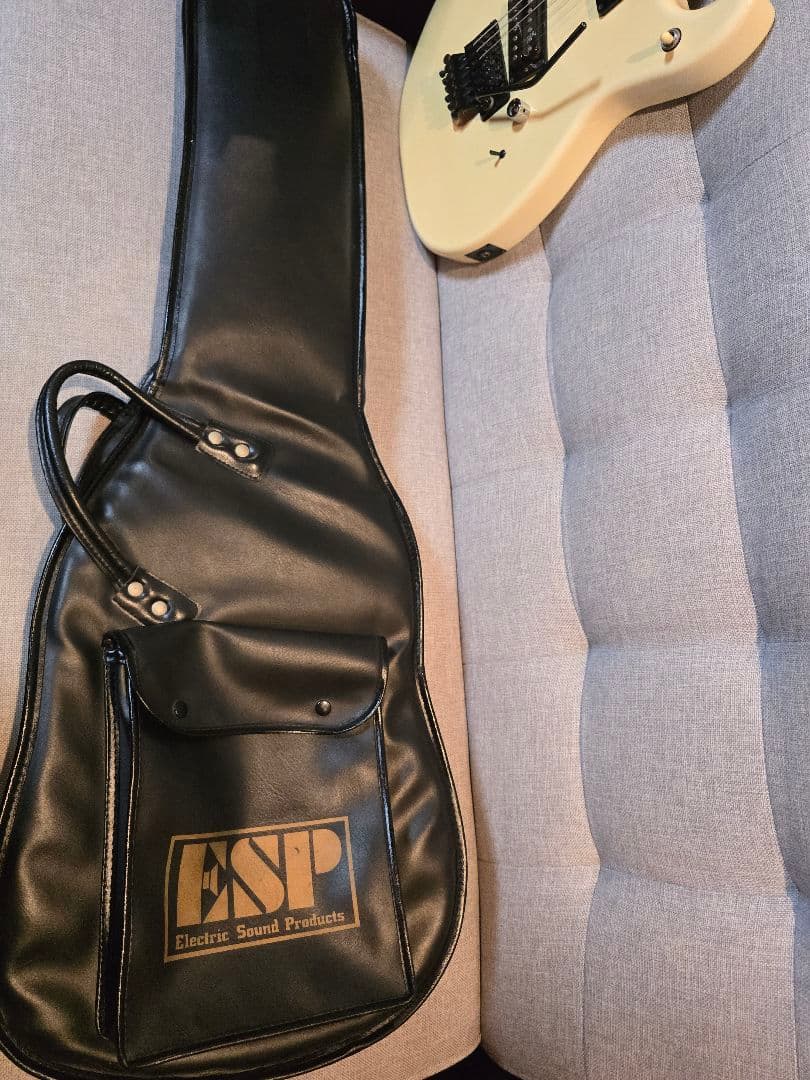 ESP カスタムオーダー エレキギター