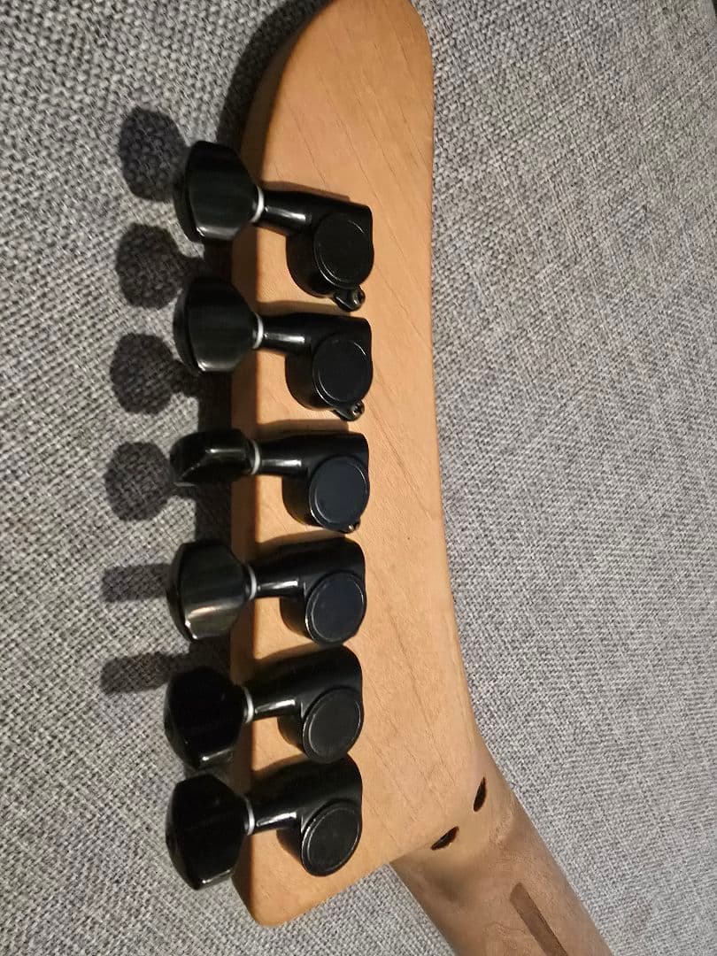 ESP カスタムオーダー エレキギター