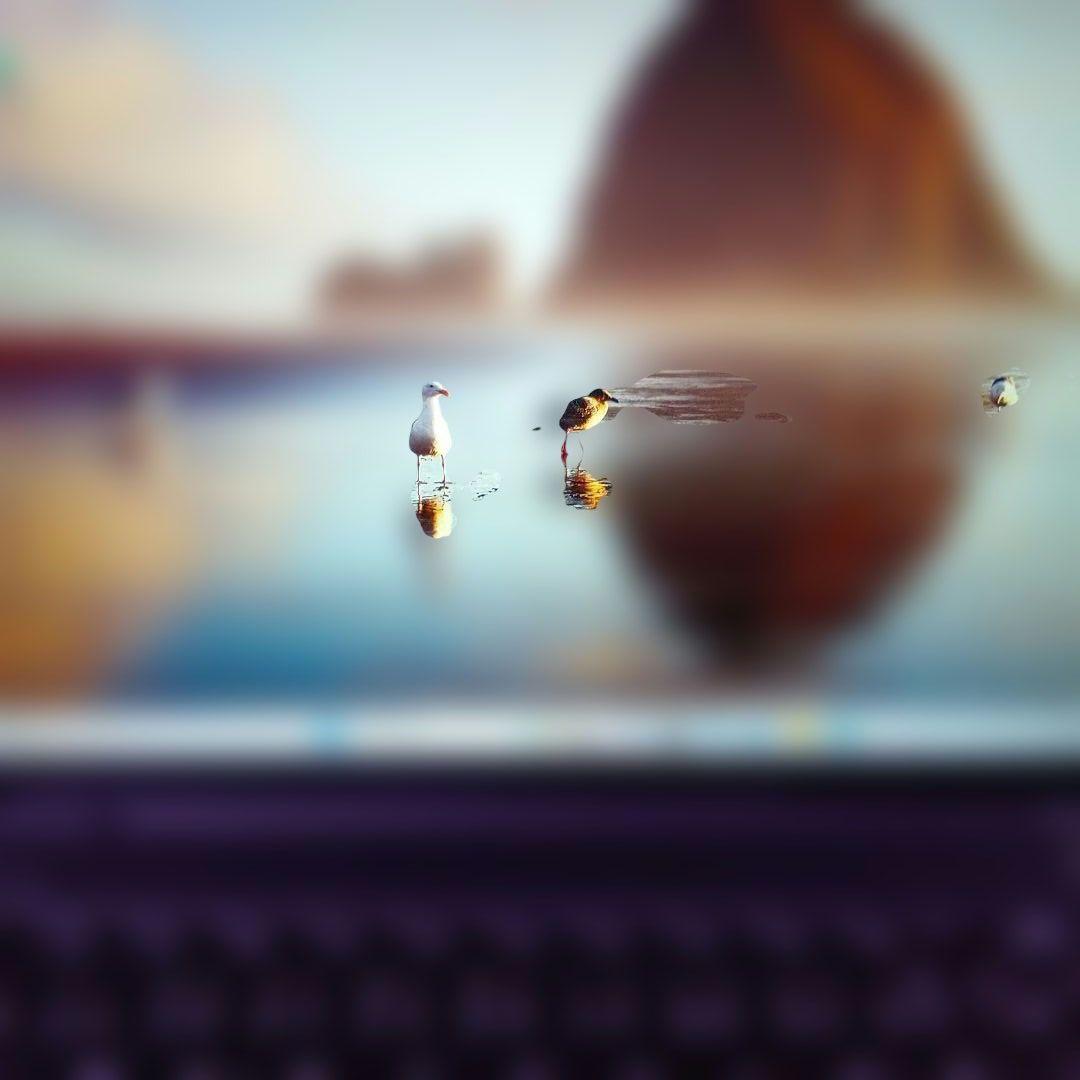 Y⑨ 富士通　ＦＭＶＵ66087　U9313/N