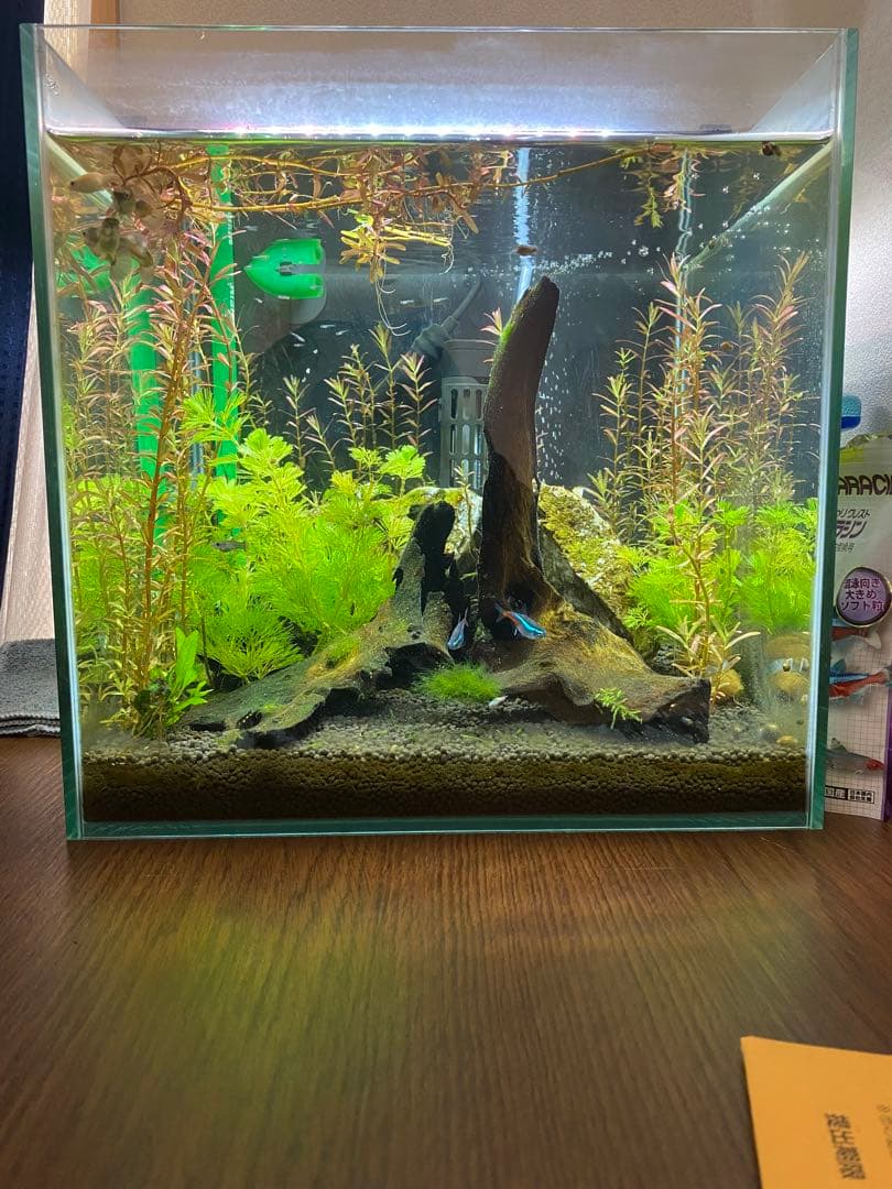 アクアリウムセット