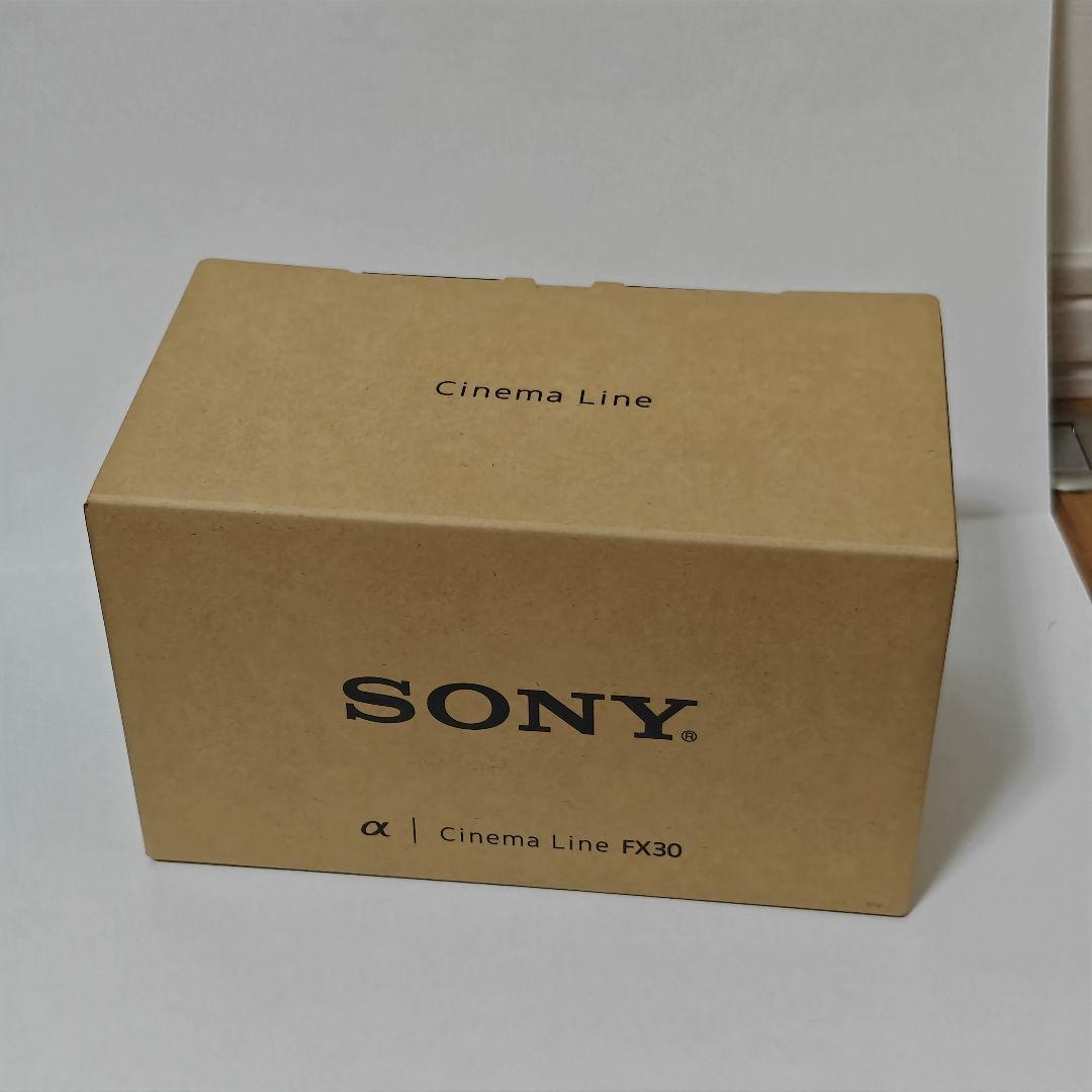 ビデオカメラ SONY ILME-FX30B