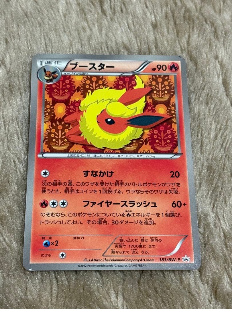 ブースター BW-P 183/BW-P イーブイコレクション