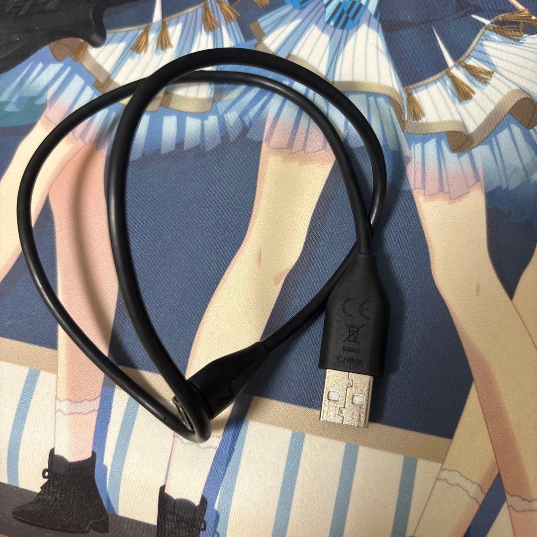 ラウンド用品・アクセサリー GARMIN Approach S62