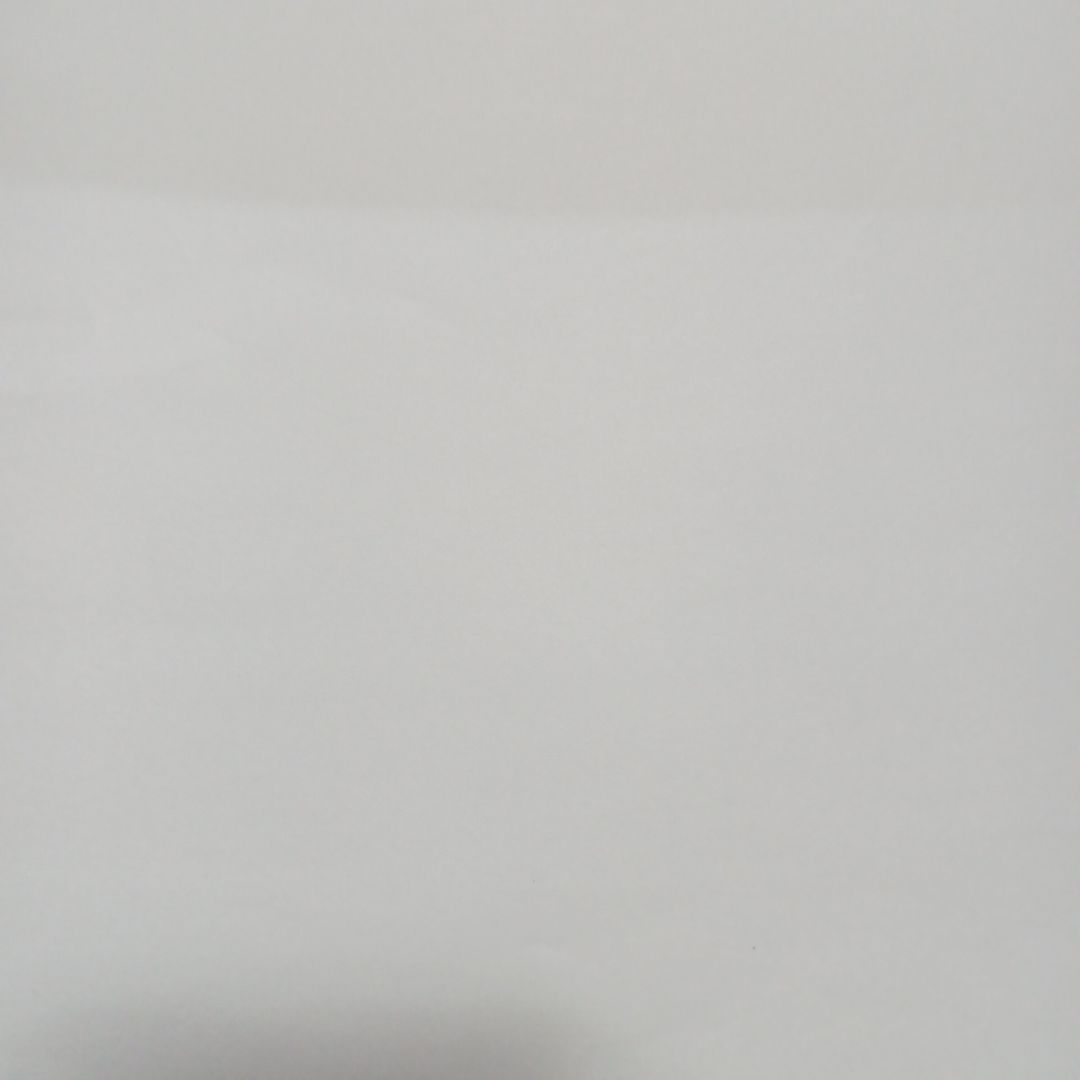 白画用紙画材用