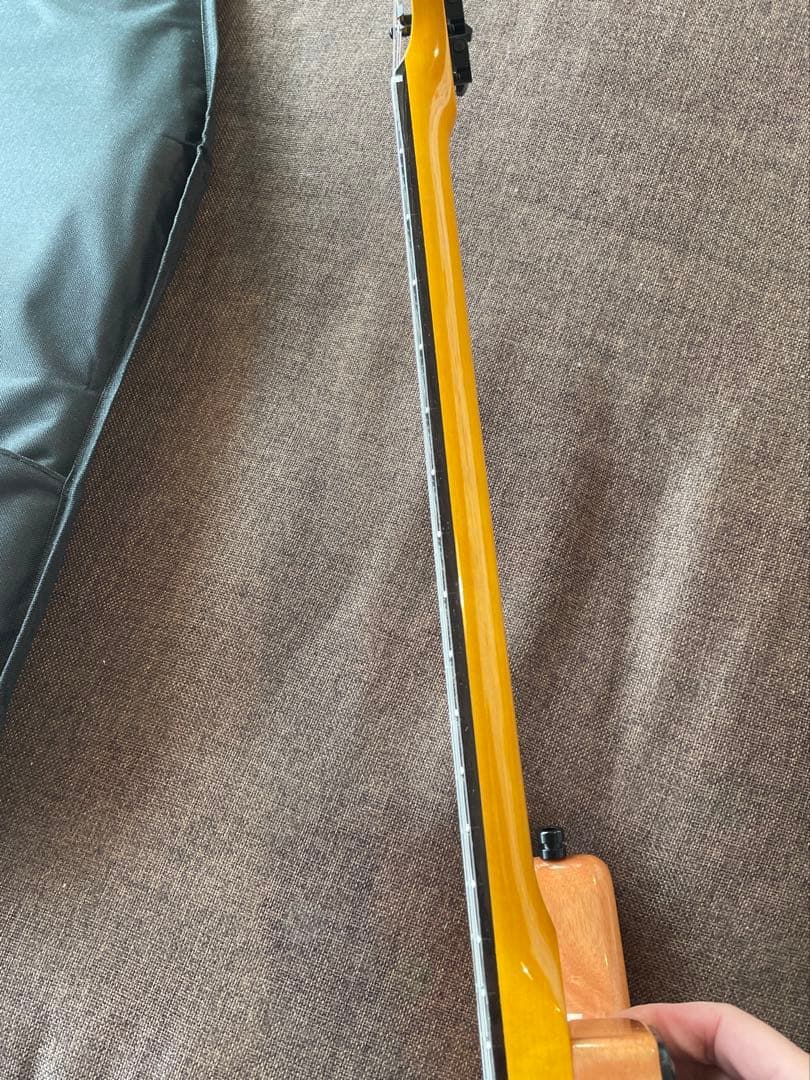 vertice. エレキギター　美品