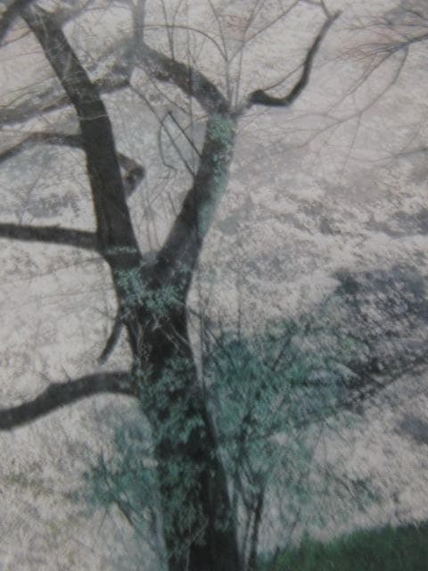 梅原幸雄、【花筏】、希少な額装用画集より、新品額装付