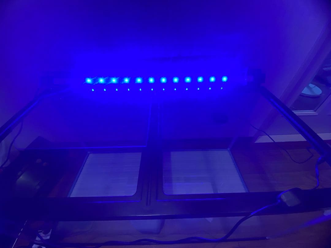 大型ガラス水槽 W900、LED、ポンプ、ヒーターなど全て一式 ※現物引渡しのみ