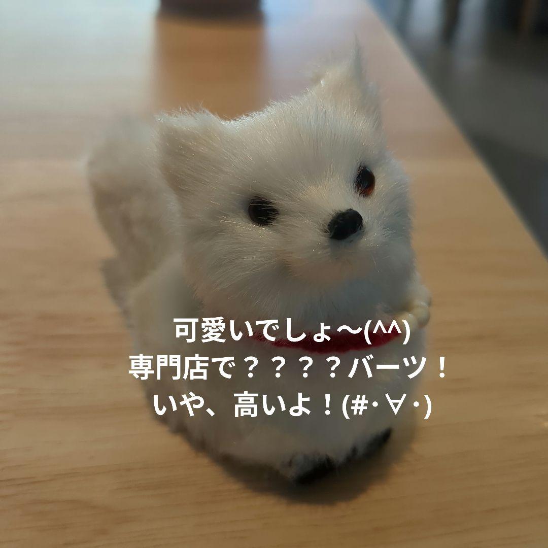 【マダム】タイのお守りプラクルアン！彼岸島VER!恋愛＆金運UP！