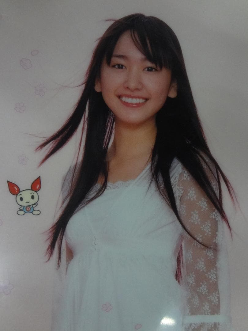 新垣結衣　　入手困難非売品　　　春の献血クリアファイル