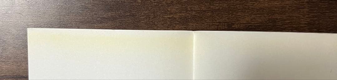 【希少品】ワンピース　ONE PIECE 第1巻チラシ付き初版