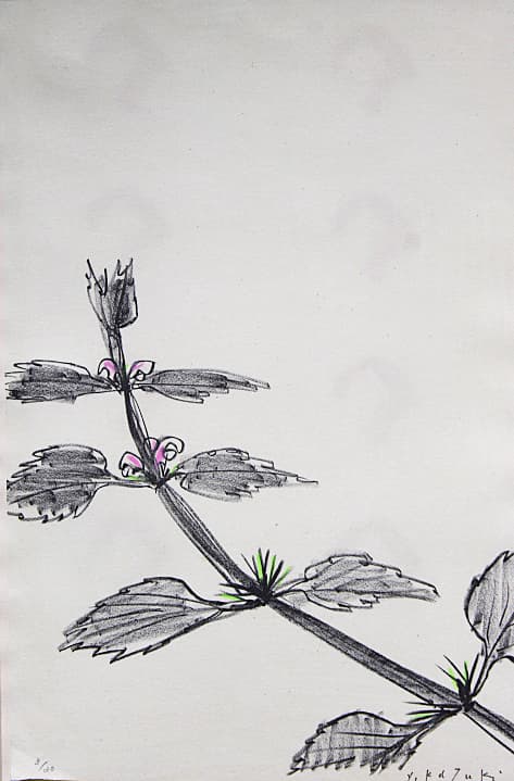 香月泰男 【踊り子草】 手彩色 リトグラフ