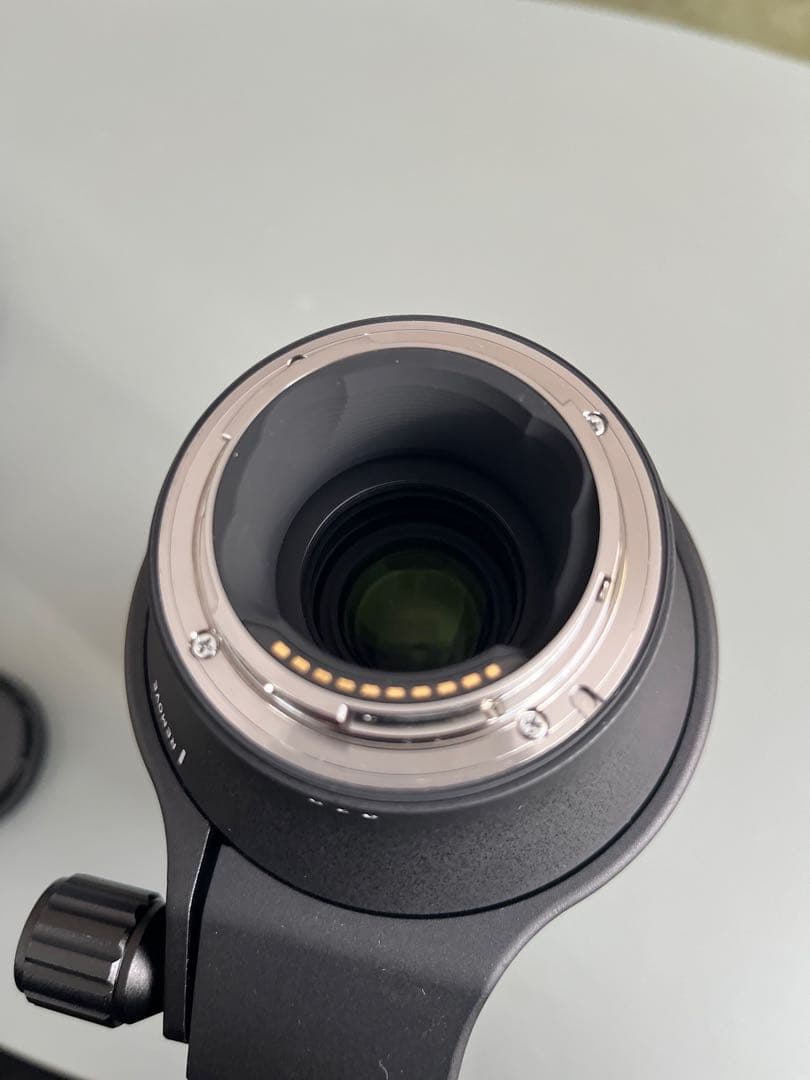 SIGMA 100-400mm F5-6.3 DG DN OSソニー Eマウント