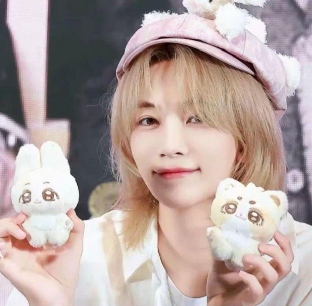 seventeen ジョンハン　エスクプス 10cm ぬいぐるみ　新品