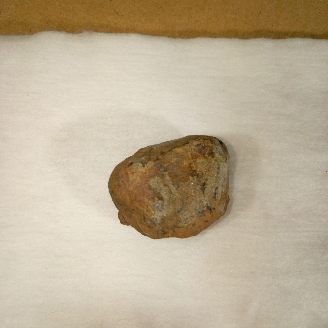 三葉虫　化石　三葉虫化石　究極のレトロ　fossil　ボリビア産　化石管理番号⑬