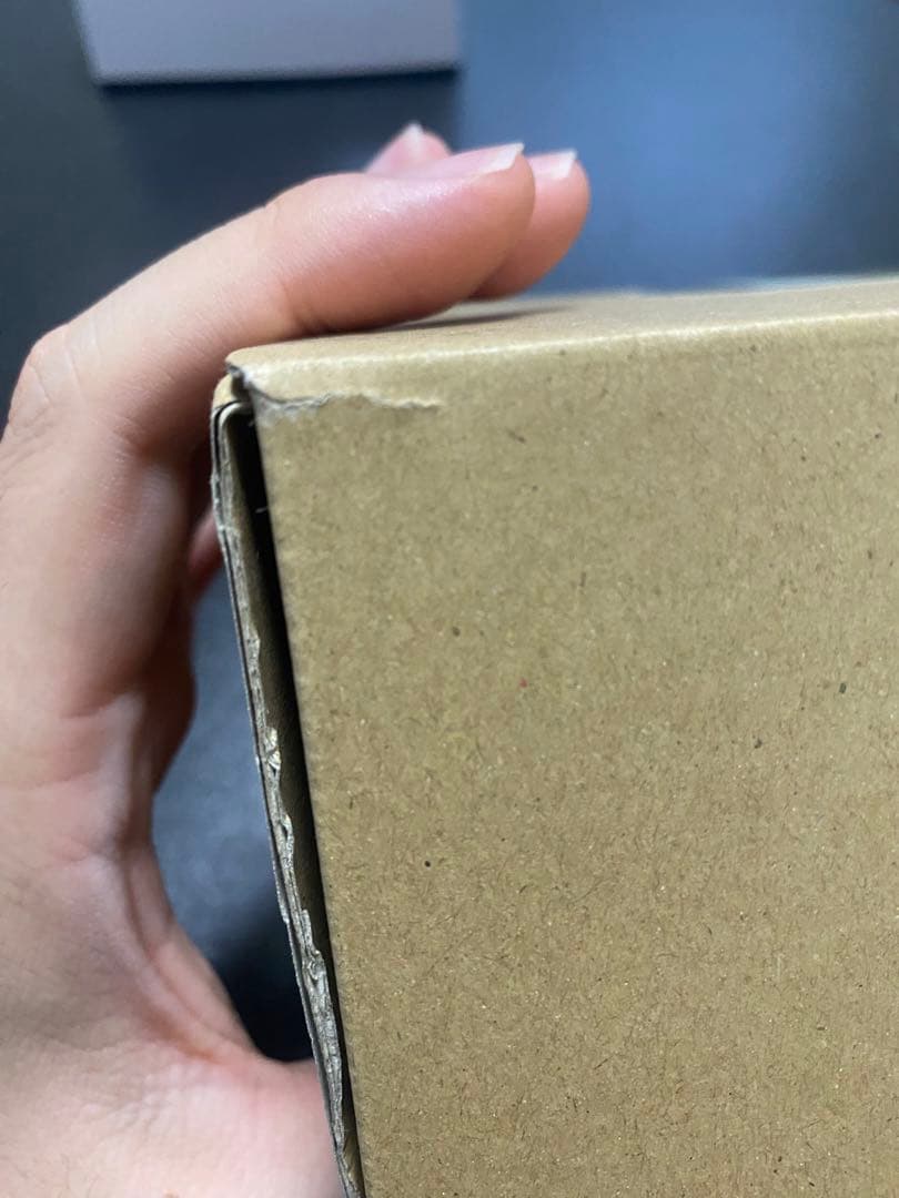 ラヂオレコーダーズ ラヂレコボーイ グレー WF2022夏 ソフビ フィギュア