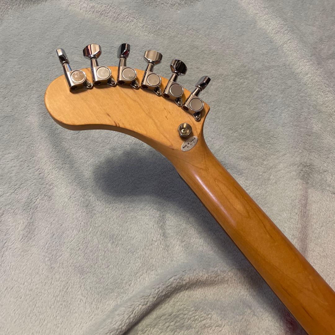 DIGI-ZO Fernandes コンデンサ交換済み