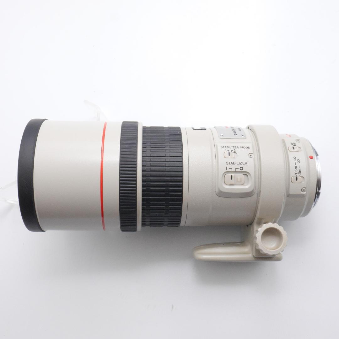 Canon EF 300mm F4 L IS USM キヤノン