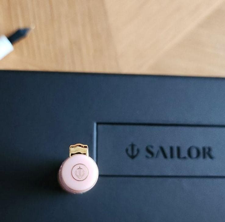 絶版品 入手困難 セーラー万年筆 レアロ 吸入式 EF ゆきのしたで 極細字