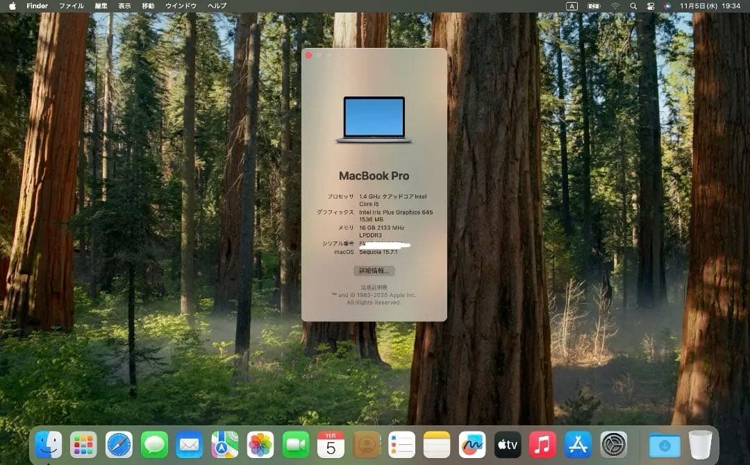 【最終値下げ】Apple MacBook Pro【16G /ストレージ512G】