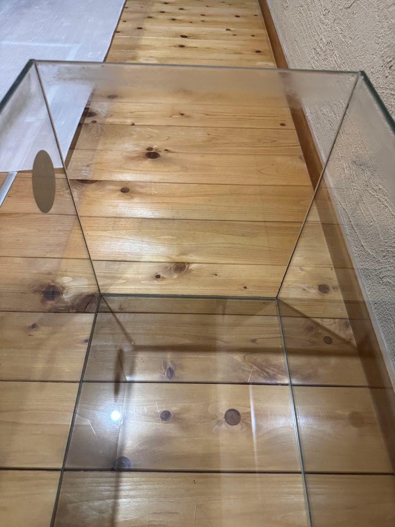 ADA Cube Garden 60 キューブガーデン60