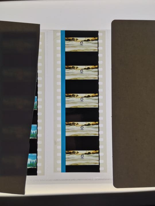 フィルム　叛逆の物語　オープニング　座り込むほむら　魔法少女まどか☆マギカ