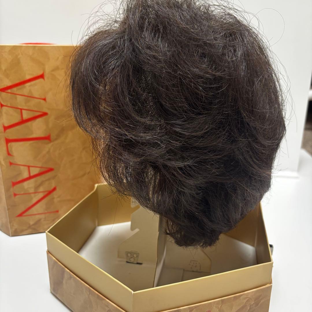 フォンテーヌ　ヴァラン　ナチュラルショートリバース　ウィッグ　VM33 F2B