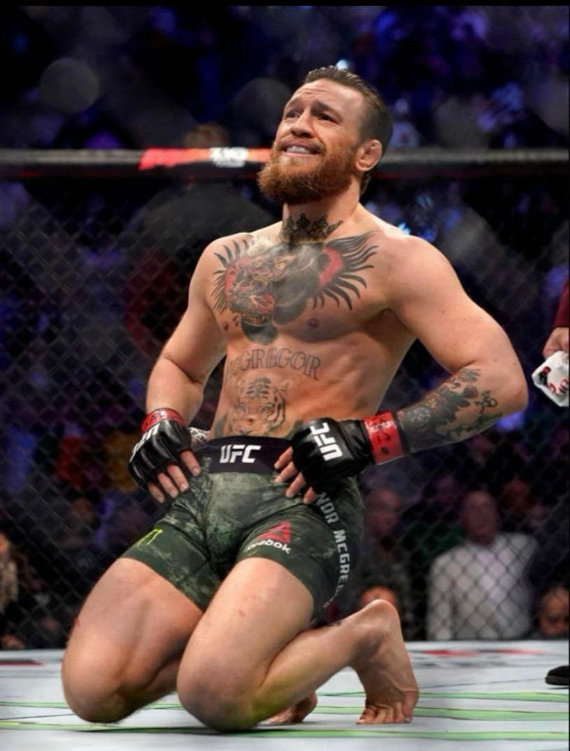 【新品未使用】UFC オフィシャル オープンフィンガー グローブ RIZIN