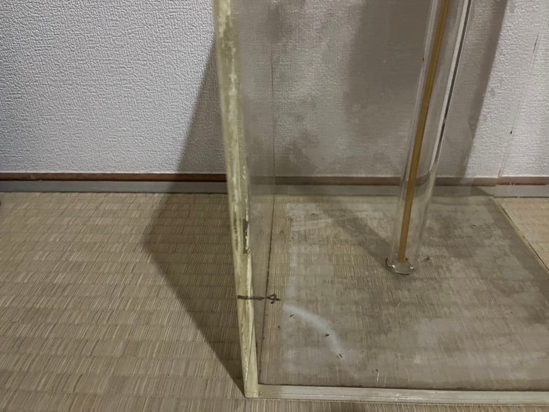 REEF OCTOPUS ウォーターBOX