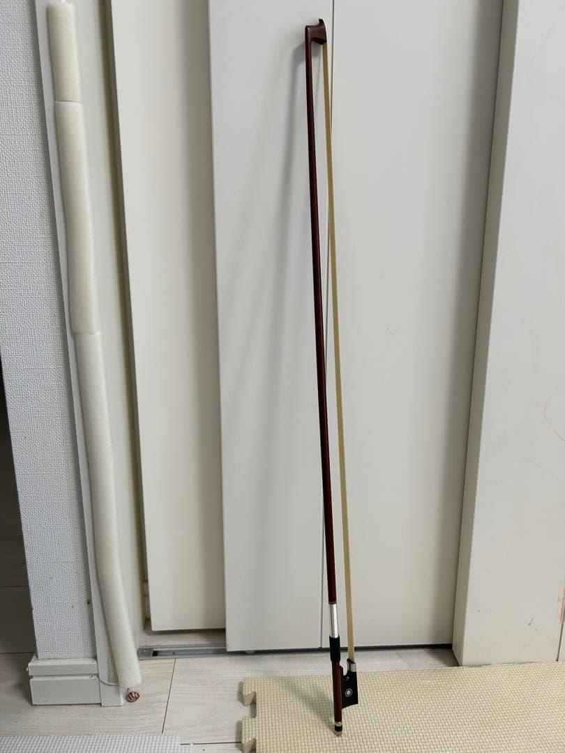 Carlo Giordano カルロジョルダーノ バイオリン VS-F1 4/4