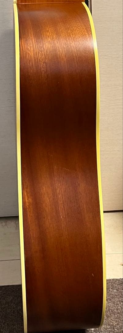 即発送 Ibanez Artwood AW250-LG