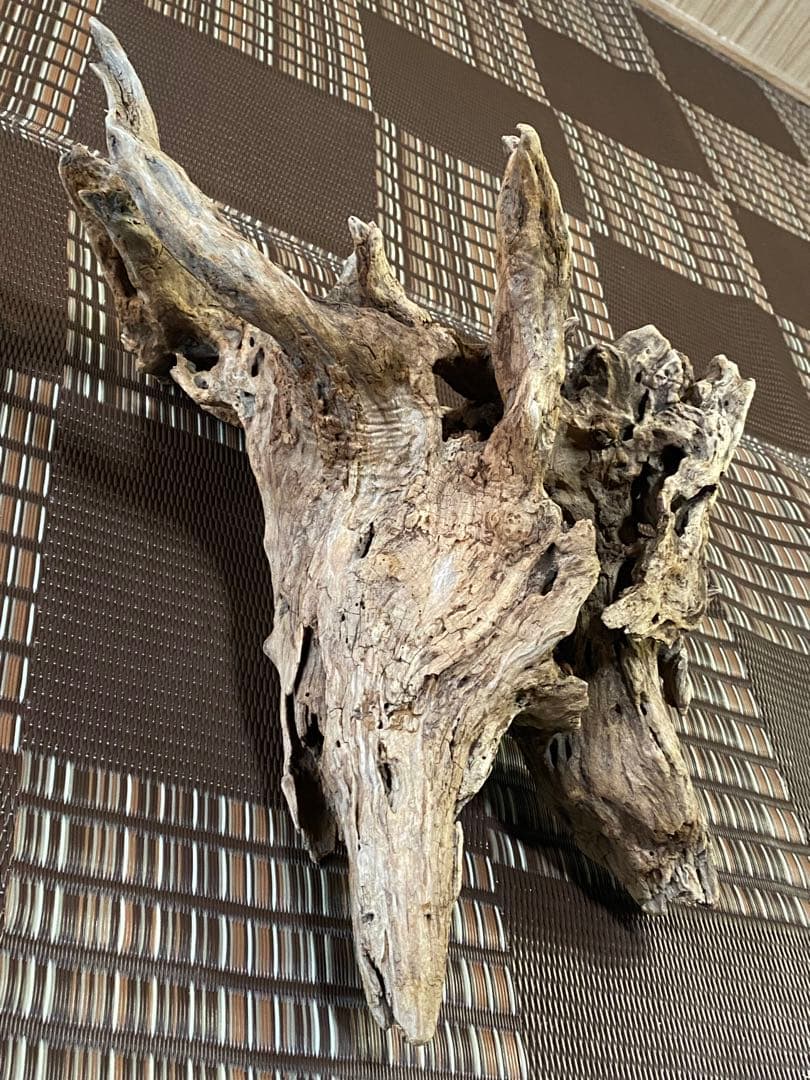 大型流木 44×28×24cm no.96