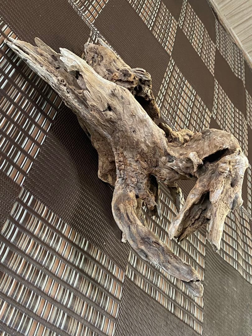 大型流木 44×28×24cm no.96