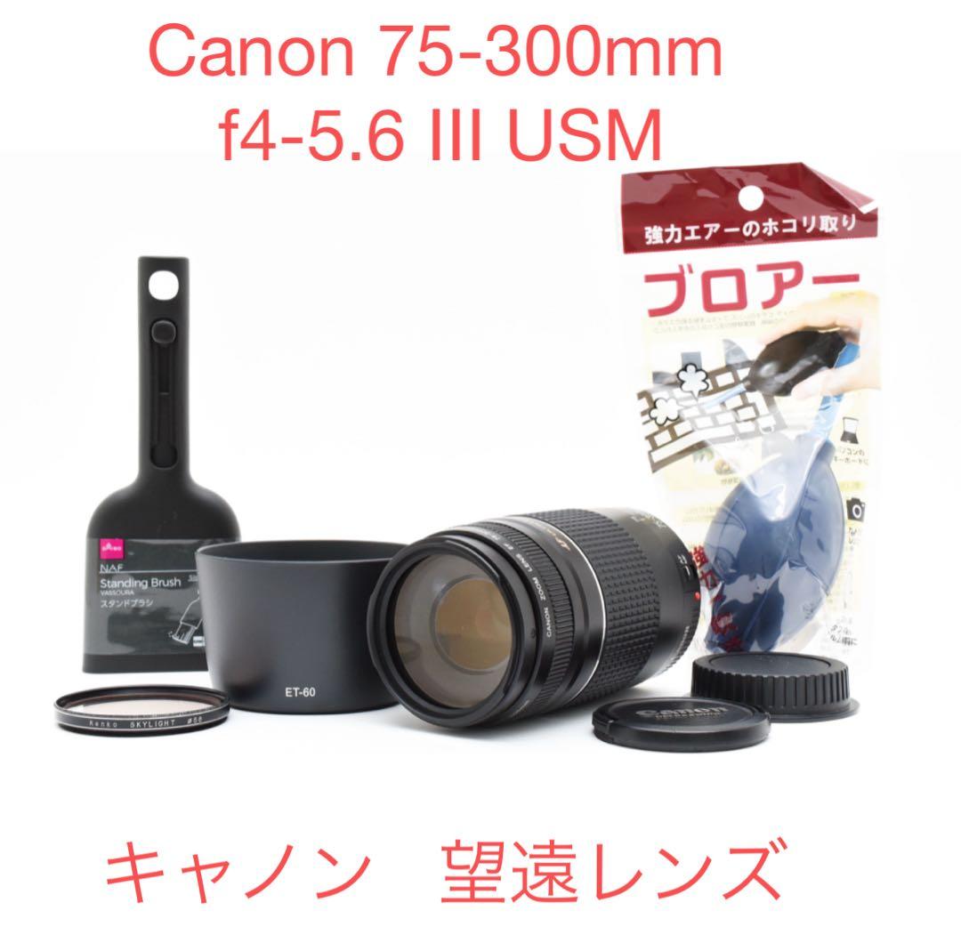 望遠レンズ /デジタル一眼レフカメラ/Canon EF75-300 Ⅲ USM