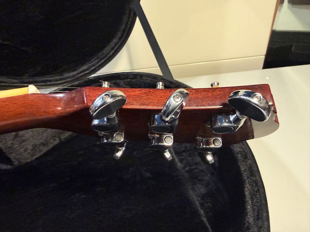 Ibanez アコースティックギター ハードケース付