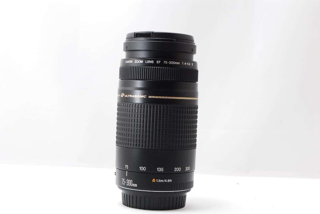 望遠レンズ/Canon キャノン Zoom Lens EF 75-300mm