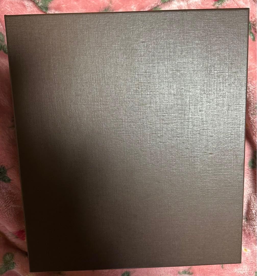 【空箱】　LOUIS VUITTON ルイヴィトン 大きい空箱　袋