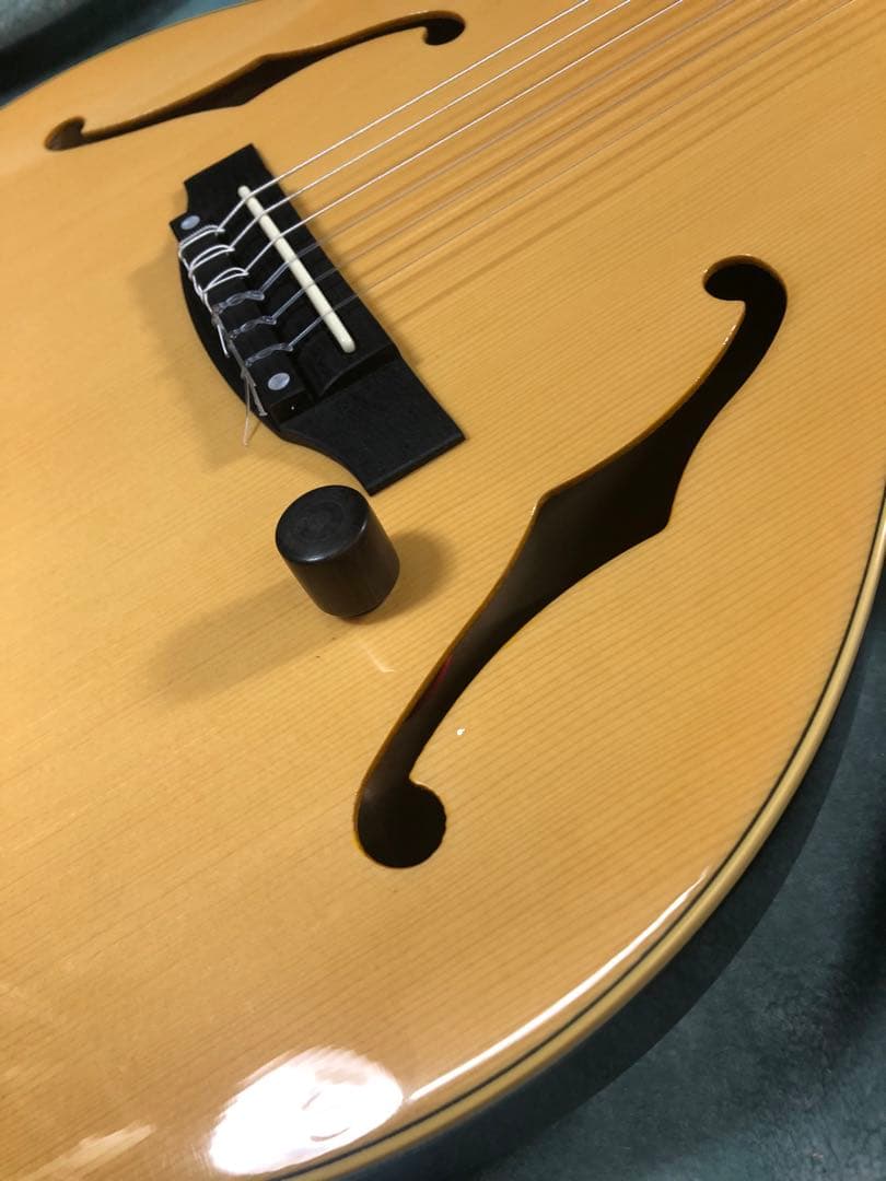 M*9様 ヤマハ　AEX500N エレガット