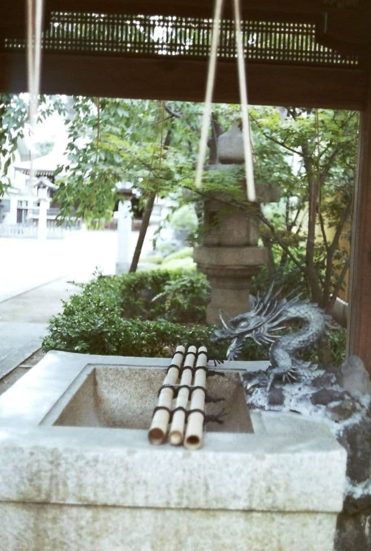 OLYMPUS PEN-D（作例あり）