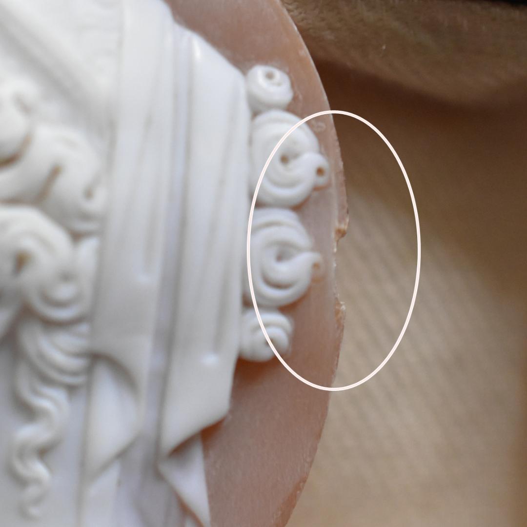 アンティーク 女神ヘラのシェルカメオルース/裸石 ヴィクトリア中期ごろ