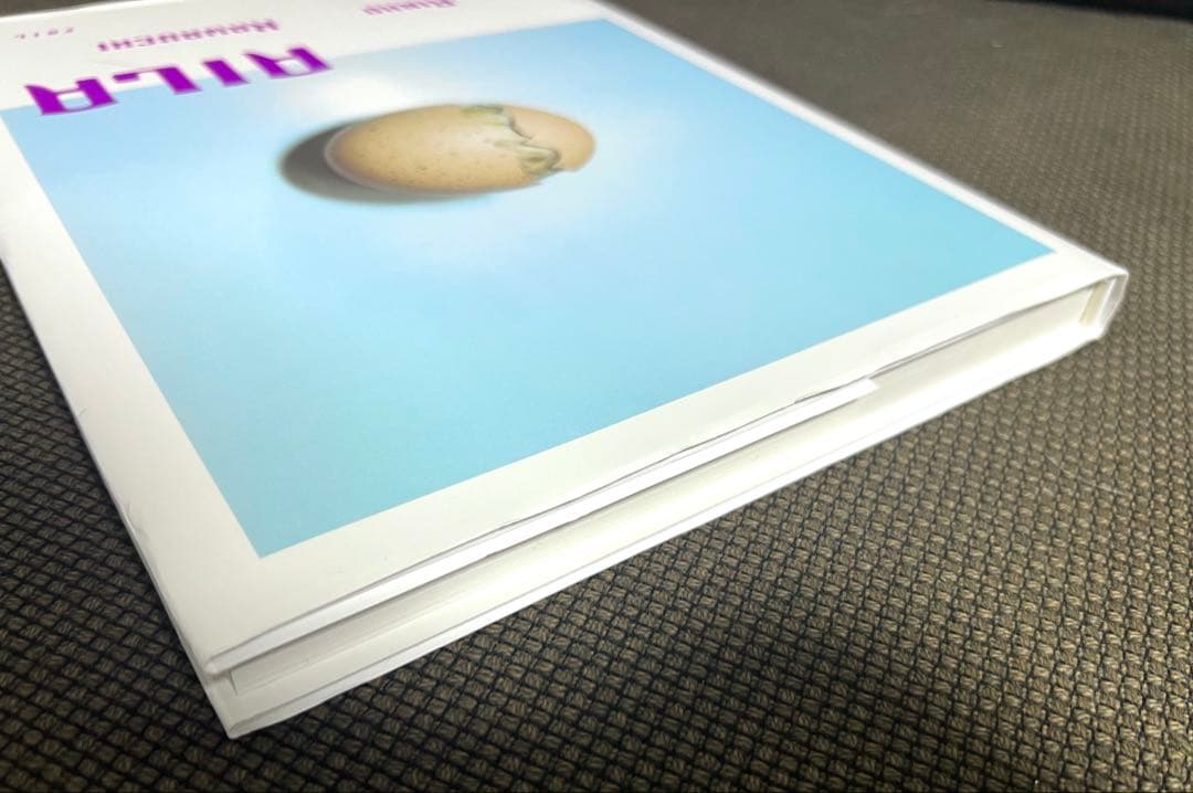 川内倫子 AILA アイーラ 写真集 美品 第二刷