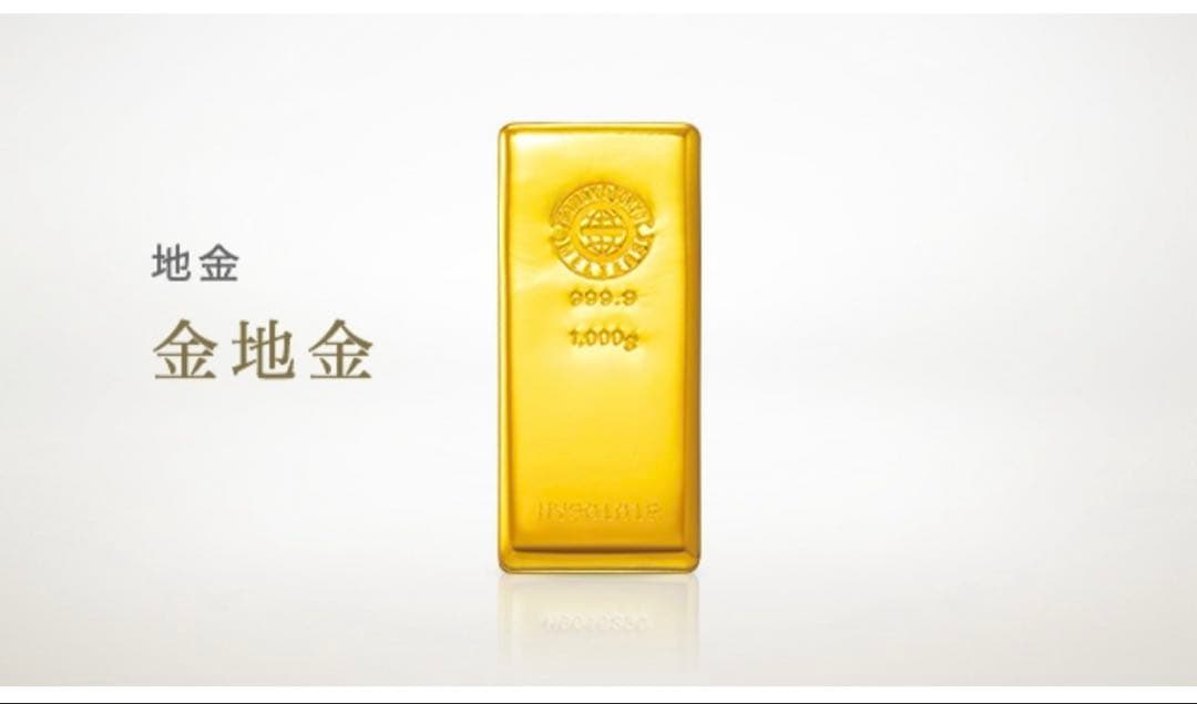 入手困難 田中貴金属 地金 10g ゴールドバー 純金