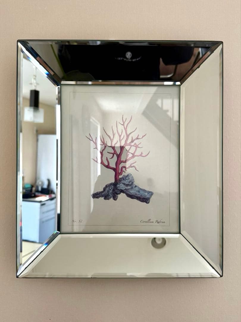 高級4面ミラーのフォトフレーム 額縁 四角形 赤いコーラル