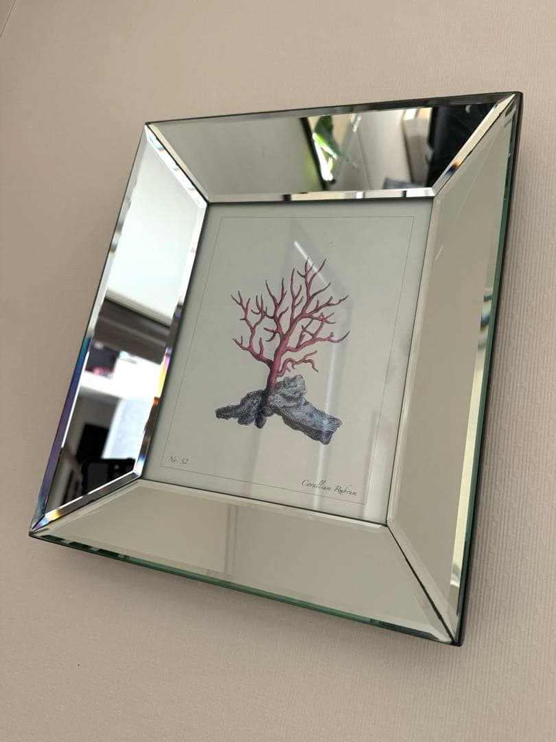 高級4面ミラーのフォトフレーム 額縁 四角形 赤いコーラル