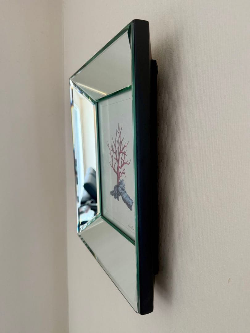 高級4面ミラーのフォトフレーム 額縁 四角形 赤いコーラル