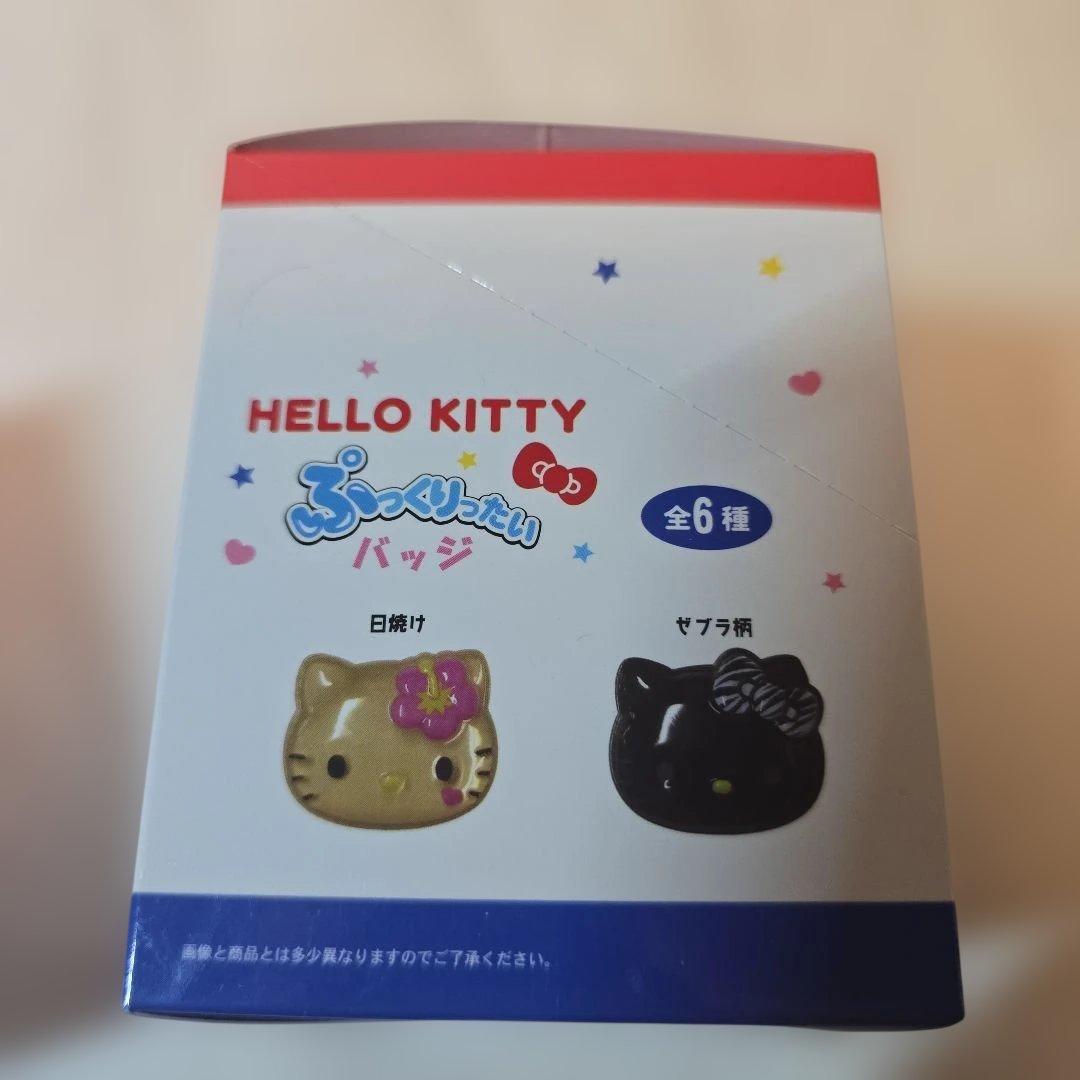 サンリオ　ぷっくりったい　バッジ